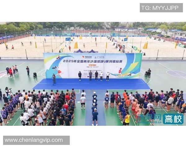 刘敏独家分享排球心得与技巧助你提升球技的全面指南