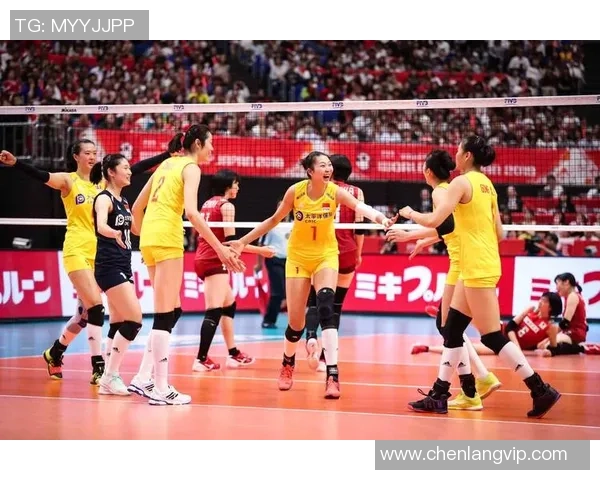 北京排球队状态对比深度解析与未来发展趋势探讨